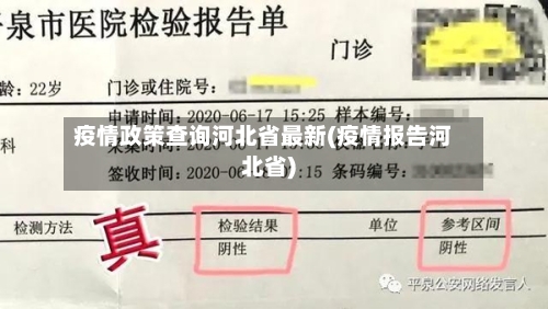 疫情政策查询河北省最新(疫情报告河北省)-第2张图片