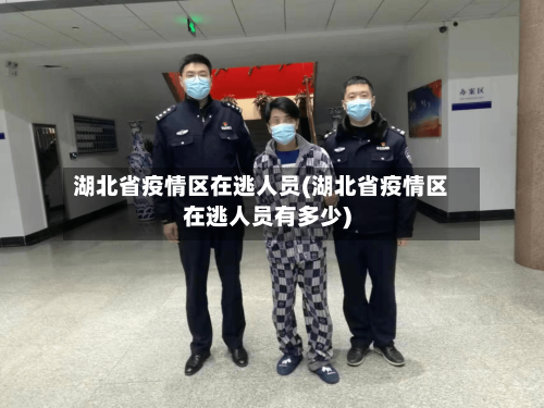 湖北省疫情区在逃人员(湖北省疫情区在逃人员有多少)-第2张图片