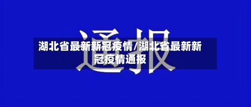 湖北省最新新冠疫情/湖北省最新新冠疫情通报-第2张图片