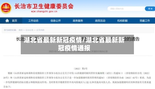 湖北省最新新冠疫情/湖北省最新新冠疫情通报-第1张图片