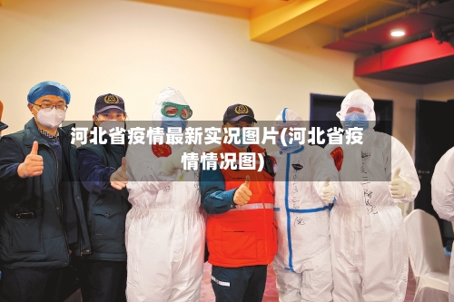 河北省疫情最新实况图片(河北省疫情情况图)-第3张图片