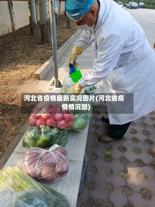 河北省疫情最新实况图片(河北省疫情情况图)-第1张图片