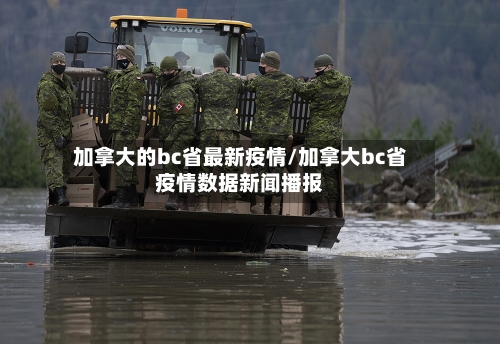 加拿大的bc省最新疫情/加拿大bc省疫情数据新闻播报-第2张图片