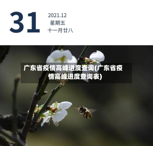 广东省疫情高峰进度查询(广东省疫情高峰进度查询表)-第2张图片