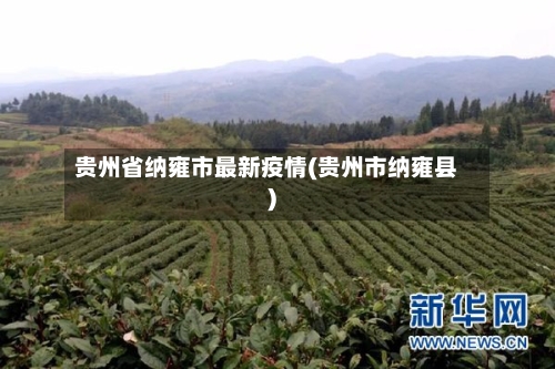贵州省纳雍市最新疫情(贵州市纳雍县)-第2张图片