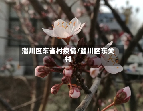 淄川区东省村疫情/淄川区东关村-第1张图片