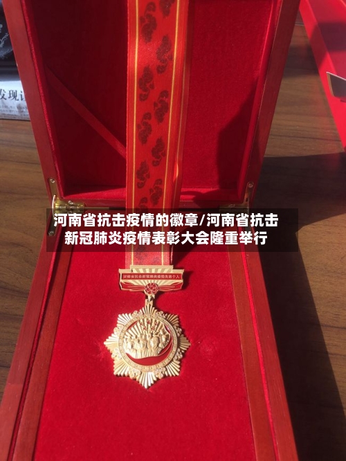 河南省抗击疫情的徽章/河南省抗击新冠肺炎疫情表彰大会隆重举行-第1张图片
