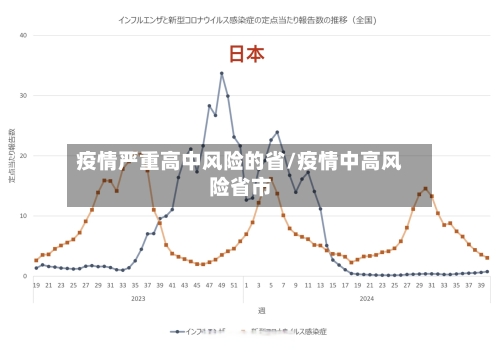 疫情严重高中风险的省/疫情中高风险省市-第2张图片