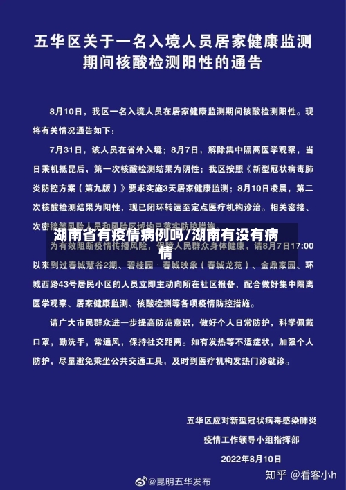 湖南省有疫情病例吗/湖南有没有病情-第3张图片