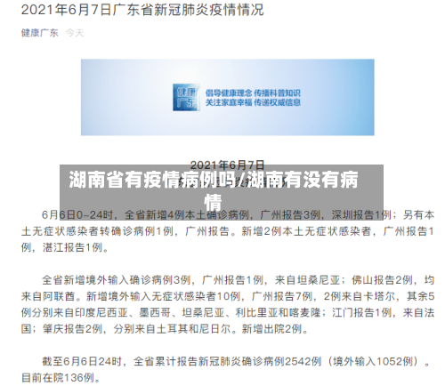 湖南省有疫情病例吗/湖南有没有病情-第2张图片