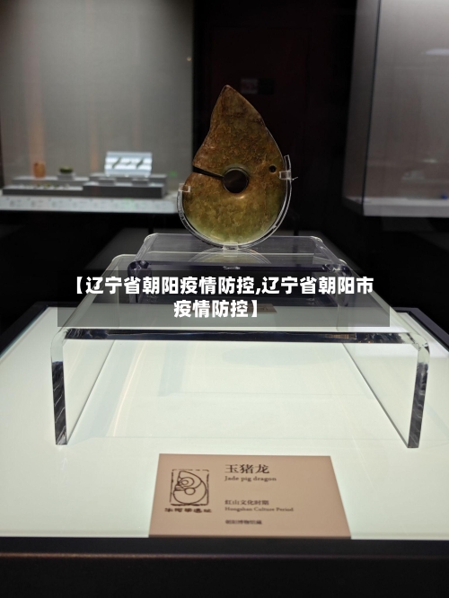 【辽宁省朝阳疫情防控,辽宁省朝阳市疫情防控】-第1张图片