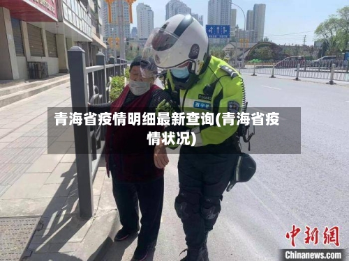 青海省疫情明细最新查询(青海省疫情状况)-第2张图片