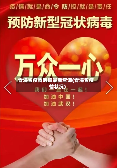 青海省疫情明细最新查询(青海省疫情状况)-第1张图片