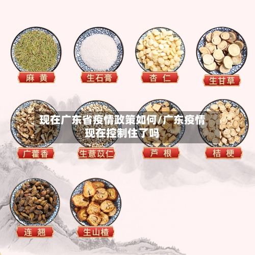 现在广东省疫情政策如何/广东疫情现在控制住了吗-第1张图片