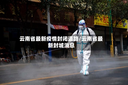 云南省最新疫情封闭道路/云南省最新封城消息-第2张图片