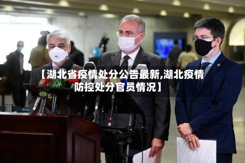 【湖北省疫情处分公告最新,湖北疫情防控处分官员情况】-第2张图片