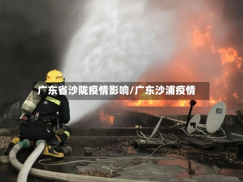 广东省沙陇疫情影响/广东沙浦疫情-第2张图片