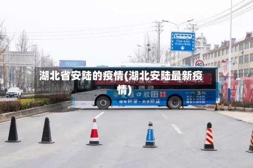 湖北省安陆的疫情(湖北安陆最新疫情)-第2张图片