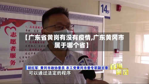 【广东省黄岗有没有疫情,广东黄冈市属于哪个省】-第2张图片
