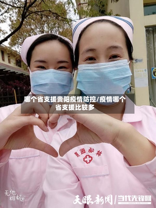 哪个省支援贵阳疫情防控/疫情哪个省支援比较多-第1张图片