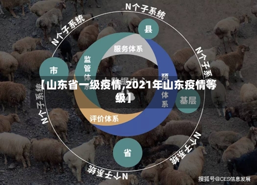 【山东省一级疫情,2021年山东疫情等级】-第3张图片