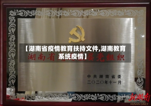 【湖南省疫情教育扶持文件,湖南教育系统疫情】-第1张图片