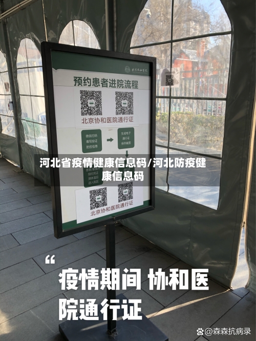 河北省疫情健康信息码/河北防疫健康信息码-第3张图片