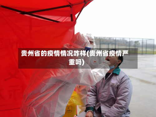 贵州省的疫情情况咋样(贵州省疫情严重吗)-第3张图片