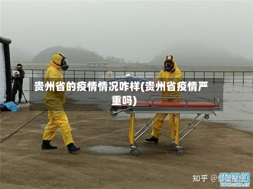 贵州省的疫情情况咋样(贵州省疫情严重吗)-第2张图片
