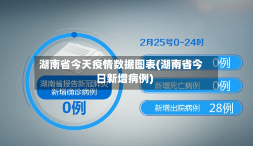 湖南省今天疫情数据图表(湖南省今日新增病例)-第3张图片