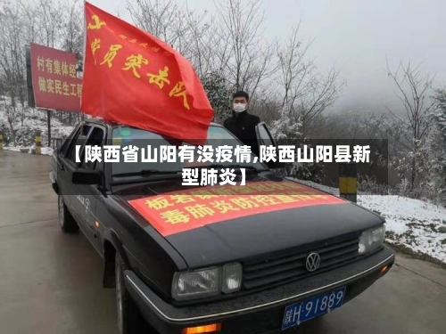 【陕西省山阳有没疫情,陕西山阳县新型肺炎】-第2张图片