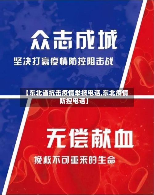 【东北省抗击疫情举报电话,东北疫情防控电话】-第1张图片