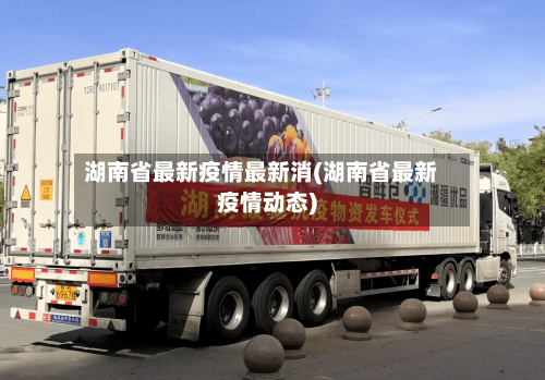 湖南省最新疫情最新消(湖南省最新疫情动态)-第2张图片