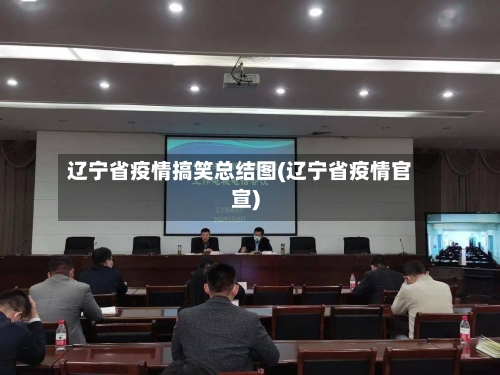 辽宁省疫情搞笑总结图(辽宁省疫情官宣)-第1张图片