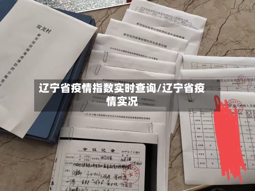辽宁省疫情指数实时查询/辽宁省疫情实况-第1张图片