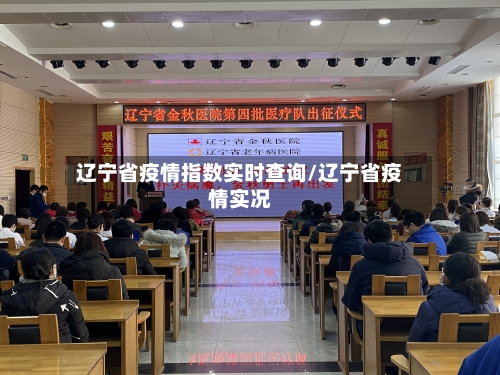 辽宁省疫情指数实时查询/辽宁省疫情实况-第3张图片