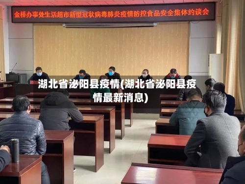 湖北省泌阳县疫情(湖北省泌阳县疫情最新消息)-第2张图片