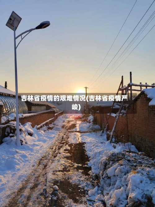 吉林省疫情的艰难情况(吉林省疫情严峻)-第2张图片