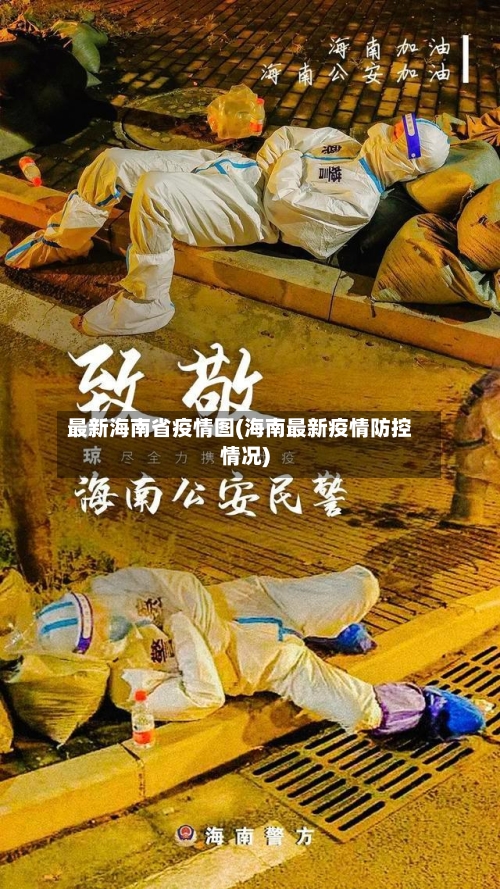 最新海南省疫情图(海南最新疫情防控情况)-第2张图片