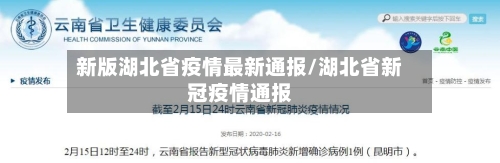 新版湖北省疫情最新通报/湖北省新冠疫情通报-第3张图片