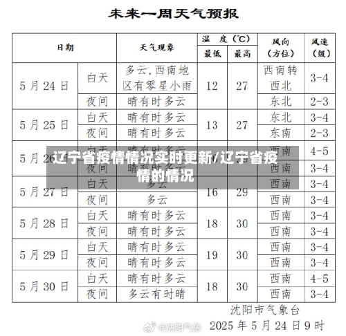 辽宁省疫情情况实时更新/辽宁省疫情的情况-第3张图片