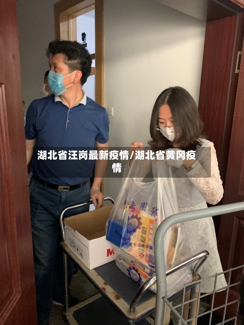 湖北省汪岗最新疫情/湖北省黄冈疫情-第1张图片