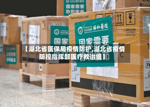 【湖北省医保局疫情防护,湖北省疫情防控指挥部医疗救治组】-第2张图片
