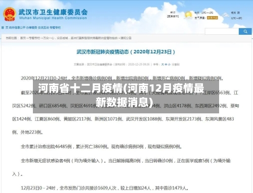 河南省十二月疫情(河南12月疫情最新数据消息)-第3张图片