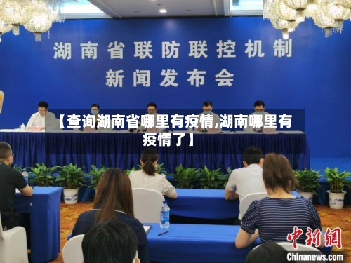 【查询湖南省哪里有疫情,湖南哪里有疫情了】-第2张图片