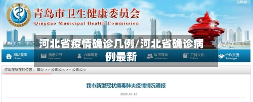 河北省疫情确诊几例/河北省确诊病例最新-第2张图片