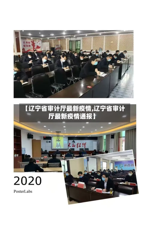 【辽宁省审计厅最新疫情,辽宁省审计厅最新疫情通报】-第1张图片