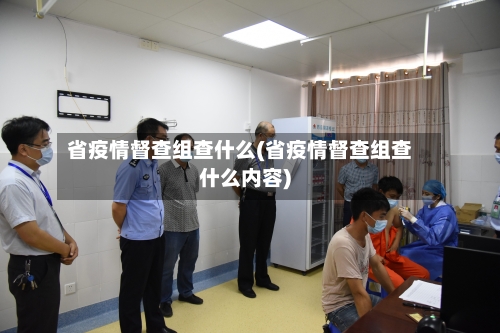 省疫情督查组查什么(省疫情督查组查什么内容)-第2张图片