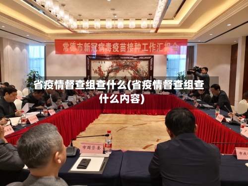 省疫情督查组查什么(省疫情督查组查什么内容)-第1张图片