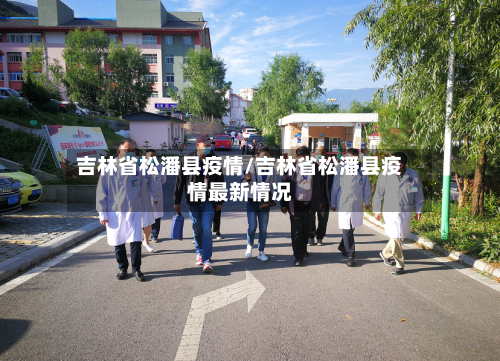 吉林省松潘县疫情/吉林省松潘县疫情最新情况-第2张图片